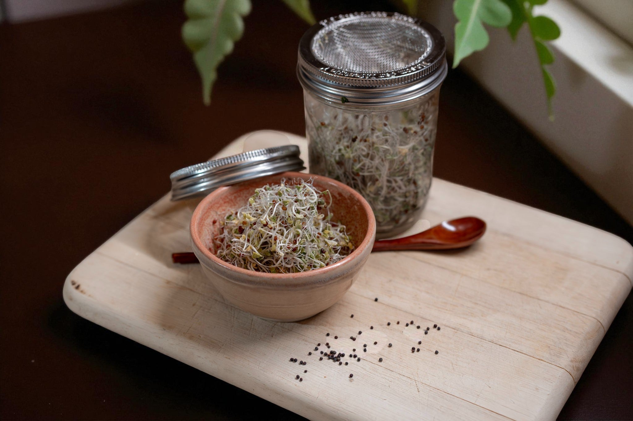 Sprouting Ritual Kit